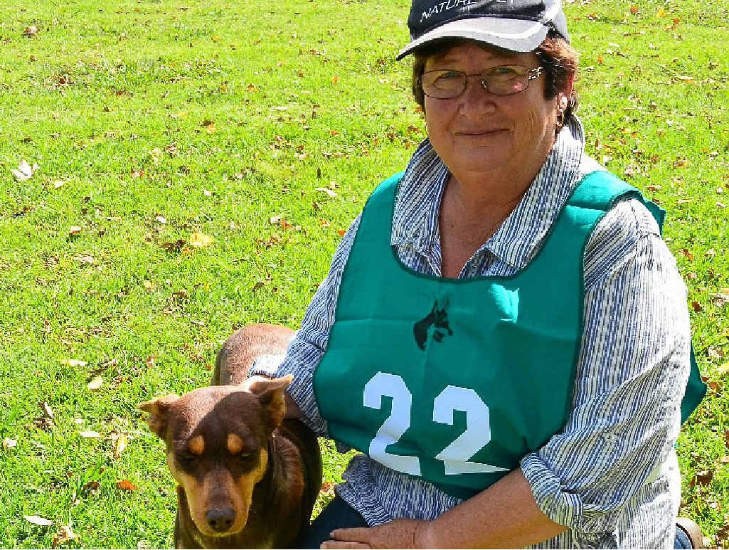 FEMININE INFLUENCE: Ann Leonard with Kinghayes Cindy won the best female handler title at the nationals at Allora. FEMININE INFLUENCE: Ann Leonard with Kinghayes Cindy won the best female handler title at the nationals at Allora.